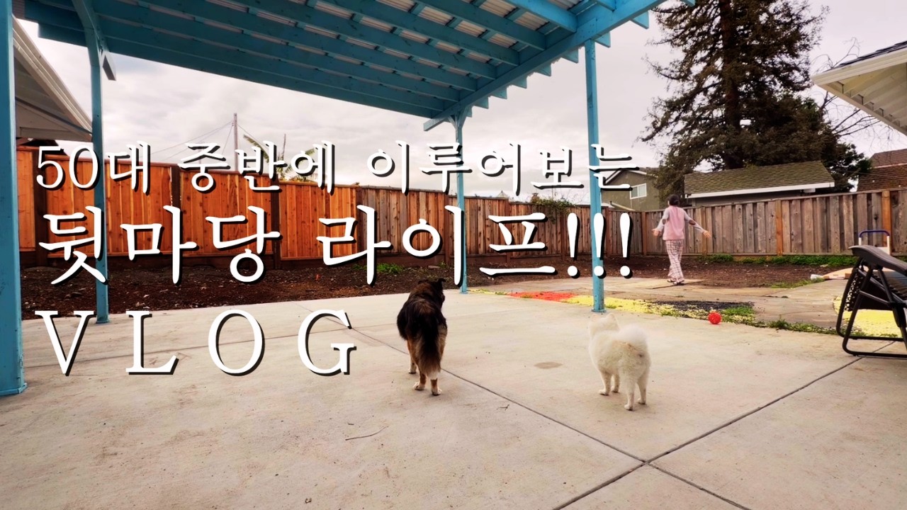 인생의 뒷마당에서 뛰어놀 차례/ 경기도 양수리 아니고 북캘리/ 무반죽 올리브유 포카치아 만들기/ 이제 다시 빵을 굽는 일상으로 돌아갑니다/미국에서 빵굽는 엄마의 이야기 vlog