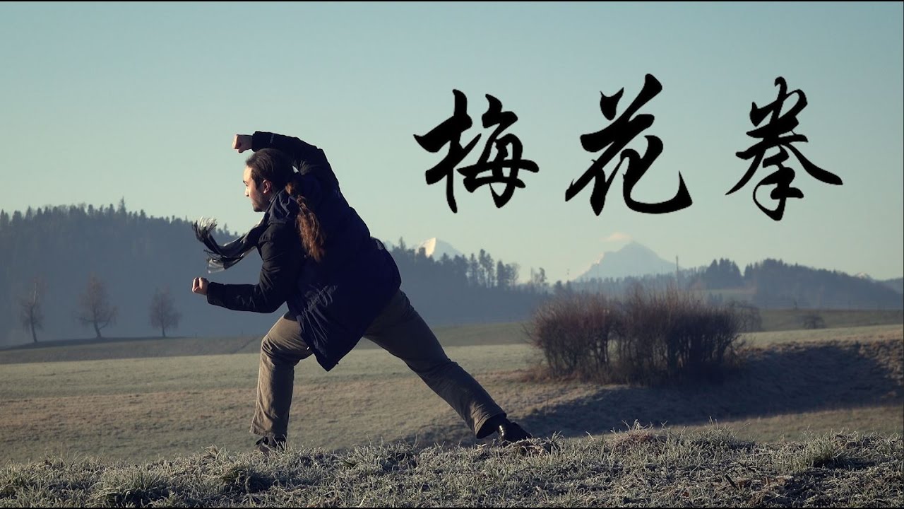 (Shaolin) Meihua Quan 少林梅花拳
