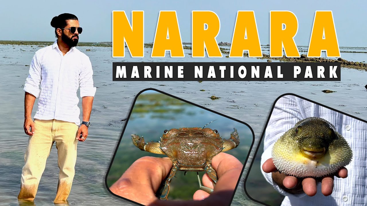 Narara Island Jamnagar | How to Reach, What to See & Marine Life Guide  | Gujarat Travel Vlog