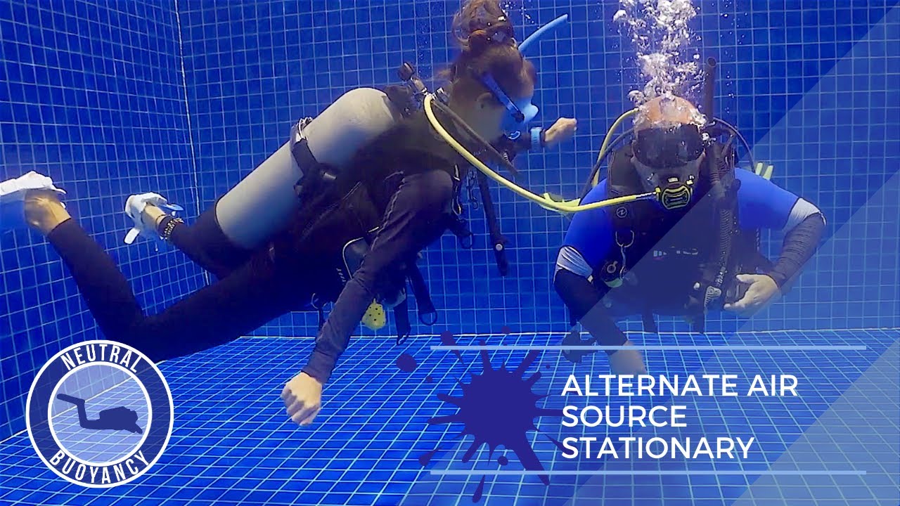 Diving Rescue Tips: Alternate Air Source 🤿 PADI Divemaster Skills Circuit (Scuba Diving Tutorial)