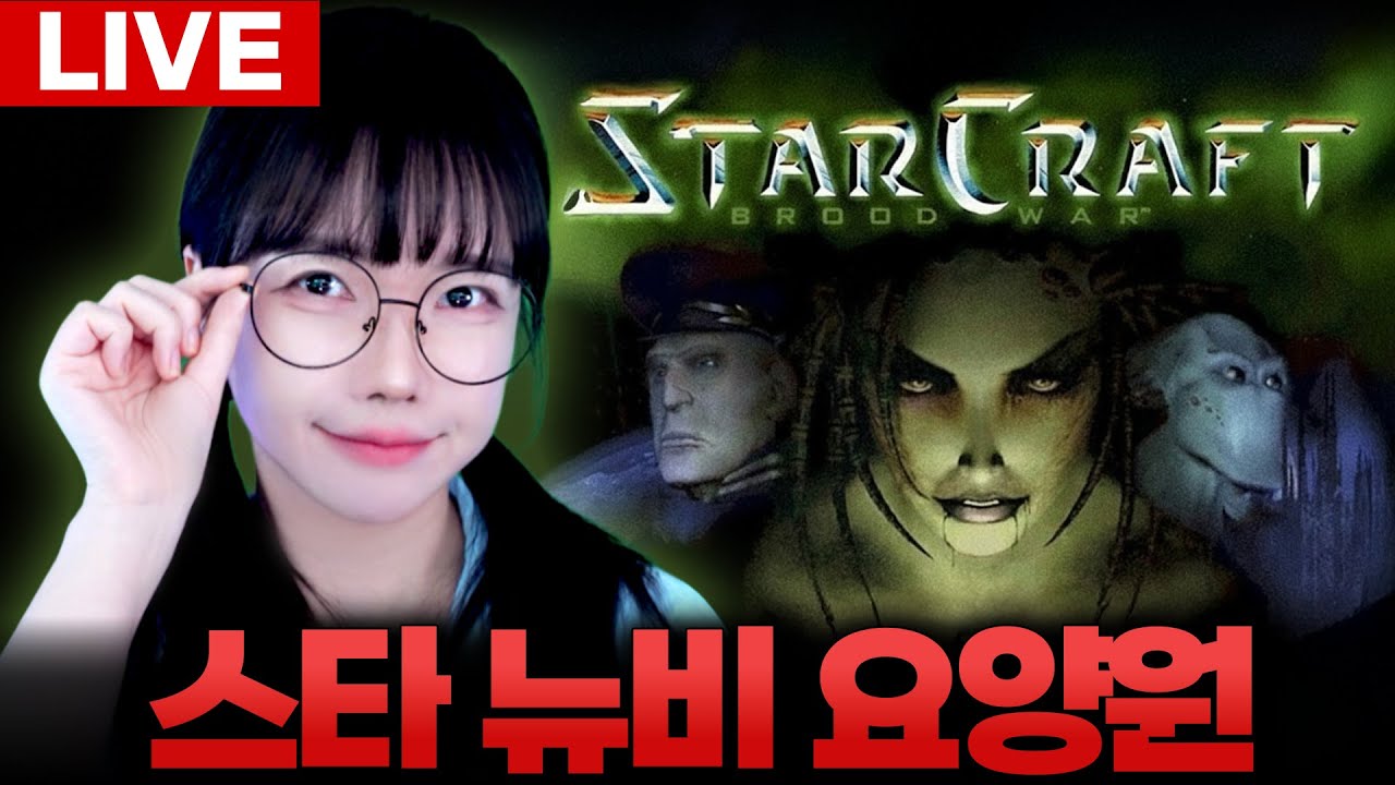 🔥스타크래프트🔥뉴비 캠페인 4일차! 훈수 할배 양갱 압수! [LIVE🔴]