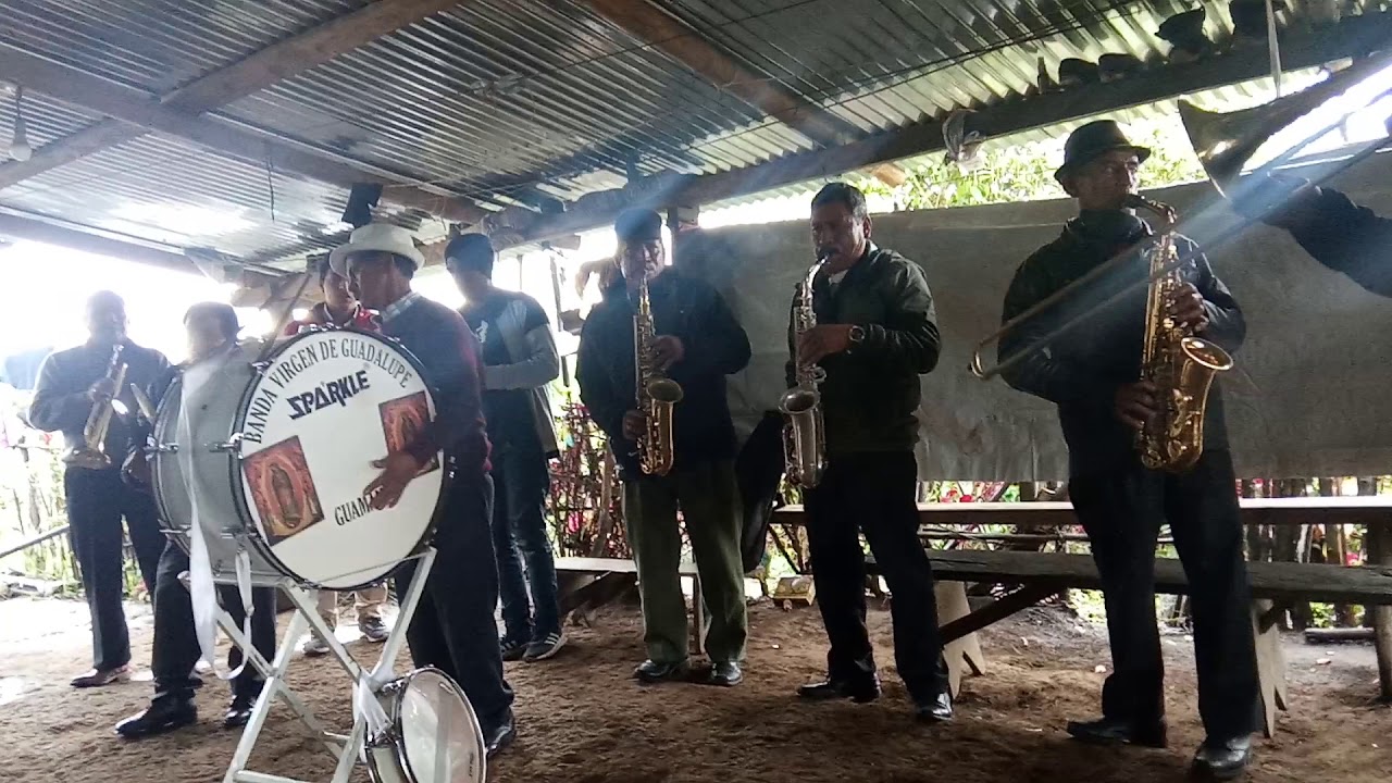 banda virgen de guadalupe