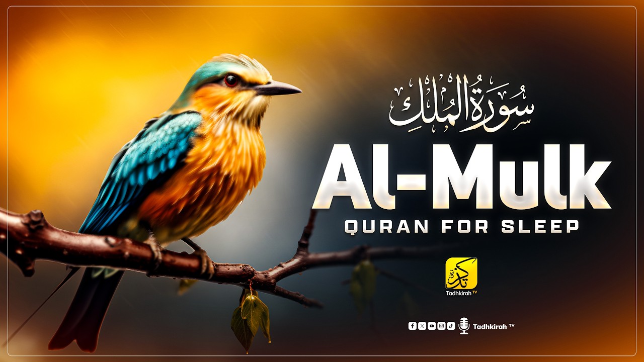 Surah AL Mulk - سورة الملك | A Calming Recitation And Relaxing Voice | Tadhkirah Tv