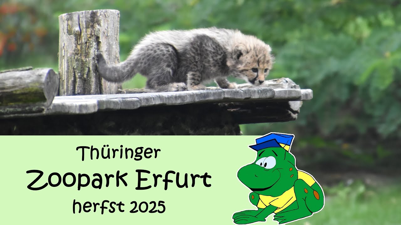 Thüringer Zoopark Erfurt, herfst 2025