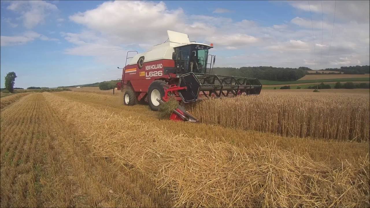 [Unicam] Moisson du blé 2016~New Holland Fiatagri&Case ih