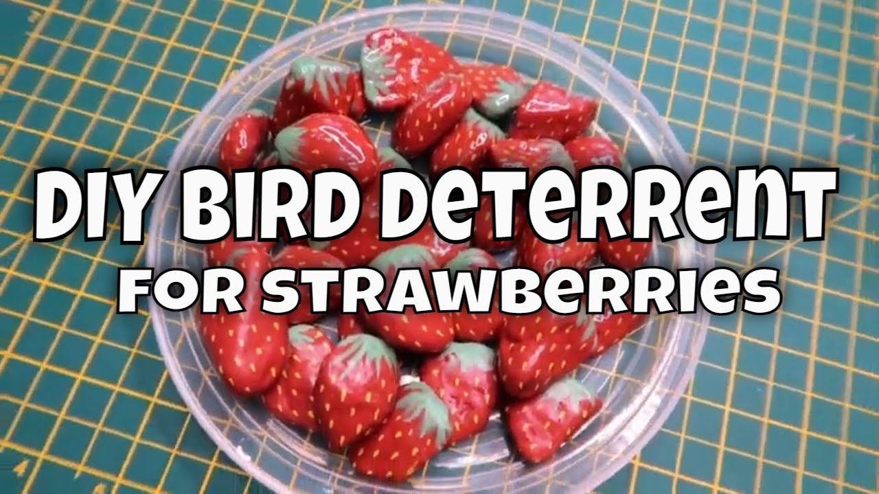 How to save your Strawberries from Birds / Strawberry Pebble Decoys / MoggyBoxCraft
