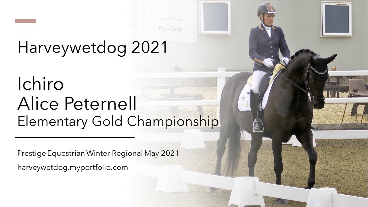 Alice Peternell and Ichiro Elementary Gold; Prestige Equestrian BD Winter Regional 2021