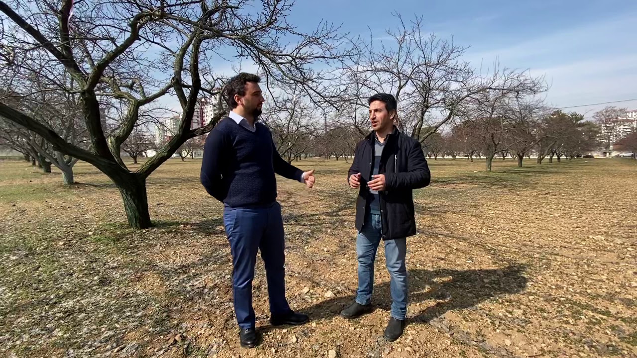 Malatya - Kayısı Yetistiriciliği, Hastalık ve Zararlıları