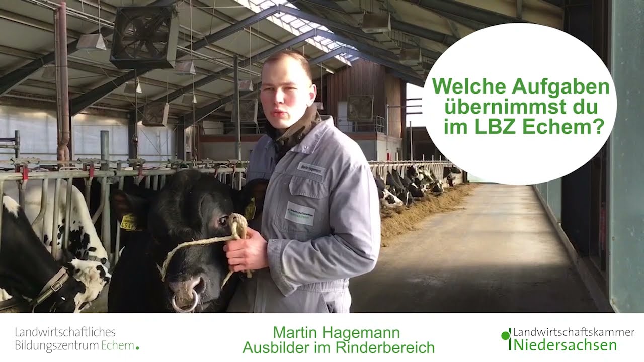 Das LBZ stellt sich vor: 3 Fragen an Martin Hagemann