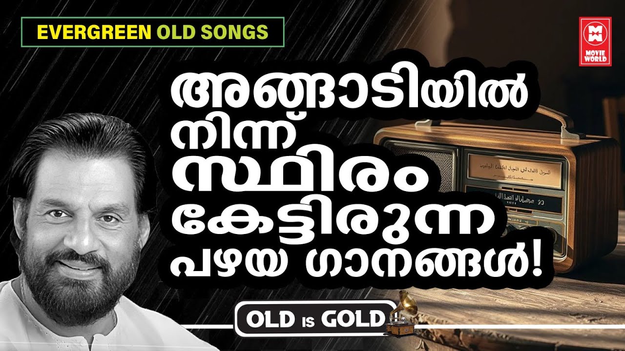 നാട്ടിൻപുറത്തെ ചായക്കടയിൽ നിന്ന് ഒന്നിച്ചിരുന്ന് ആസ്വദിച്ച പഴയ മനോഹര ഗാനങ്ങൾ | OLD IS GOLD