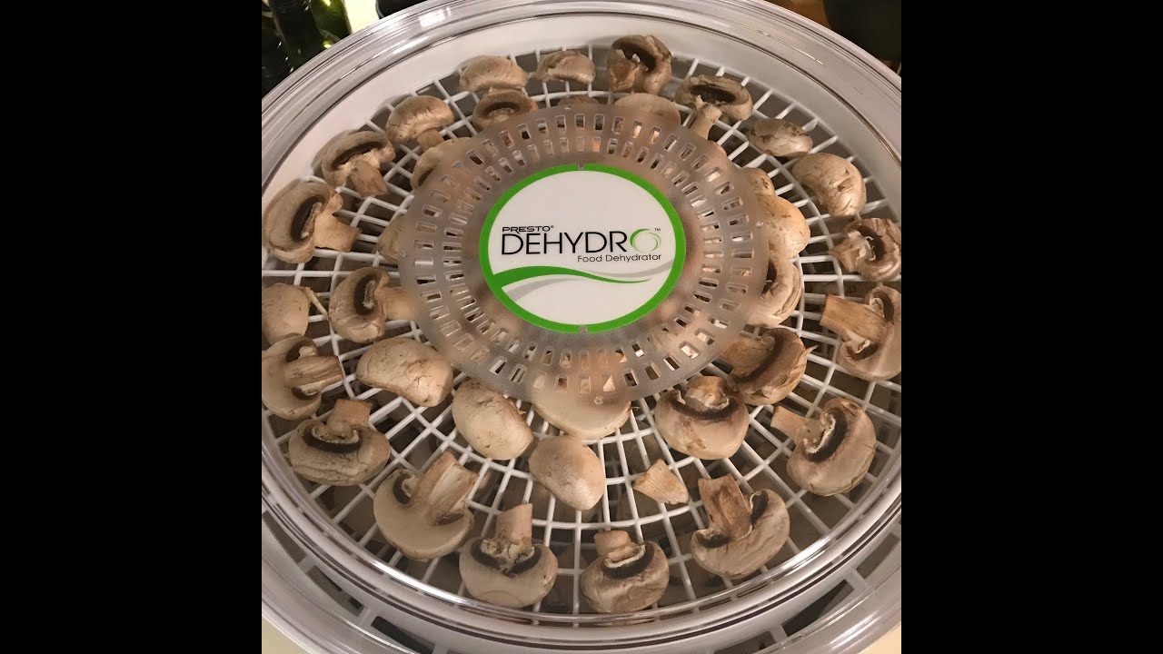 Dehydrating mushrooms in the Presto dehydrator | # 65 | #dehydrating #foodpreservation