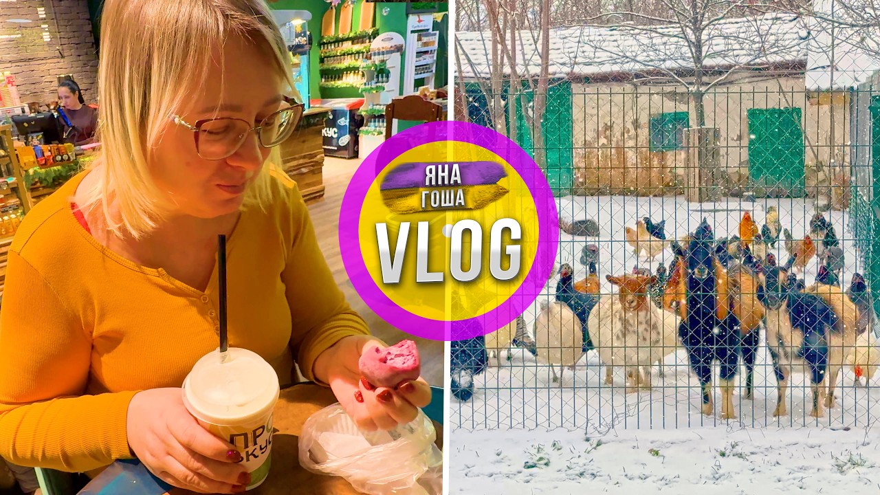 Нас накрыло снегом в Крыму! Что на ферме? Что в Феодосии? Попробовали МОТИ. Семейный Влог из Крыма.