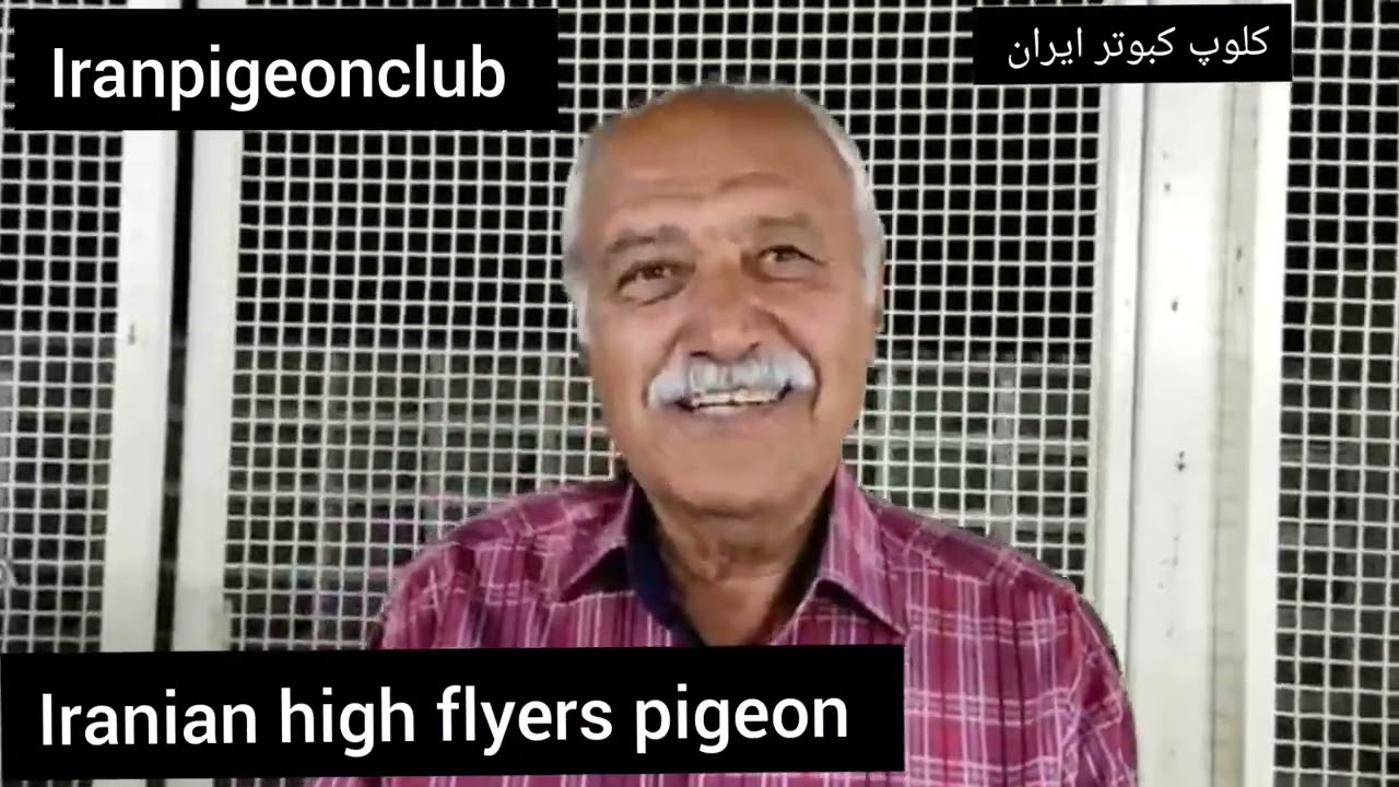 ❤️مصاحبه با آقای محسن سید حسینی(محسن سلمونی) از کاشان Iranian high flyers pigeon کلوپ کبوتر ایران