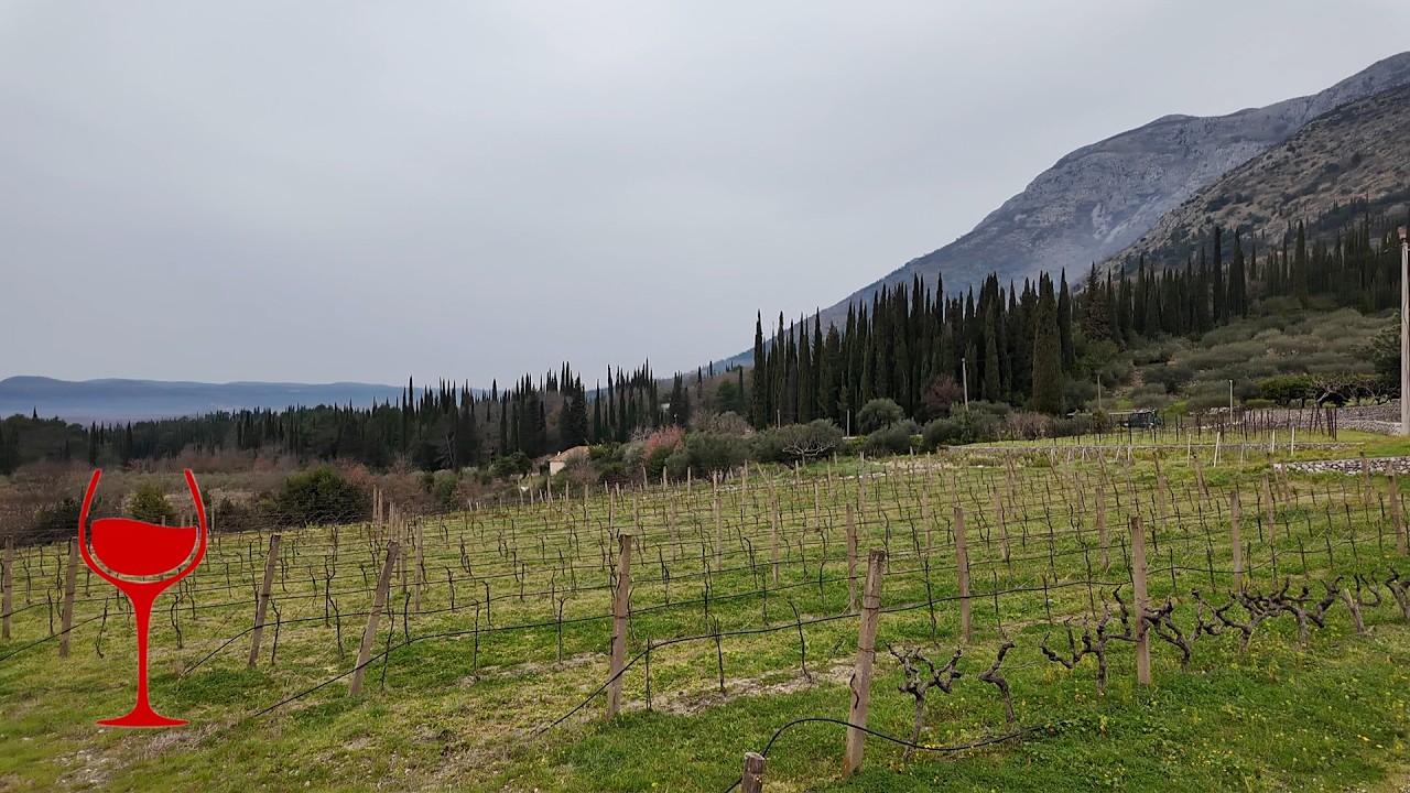 Brajkovic Winery—cellar tours & wine tasting near Dubrovnik, Dalmatia, Croatia!
