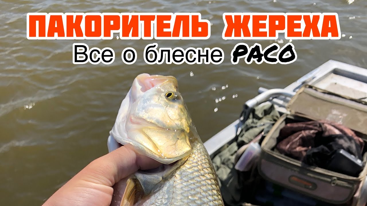 ЖЕРЕХ НА БЛЕСНУ PACO Pontoon 21 | ВСЕ О БЛЕСНЕ PACO