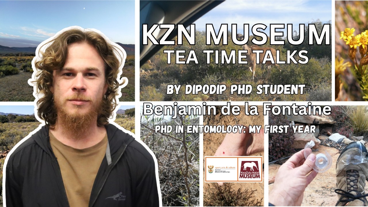 KZN Museum Tea Time Talks: PhD in Entomology, My First Year by Benjamin de la Fontaine.