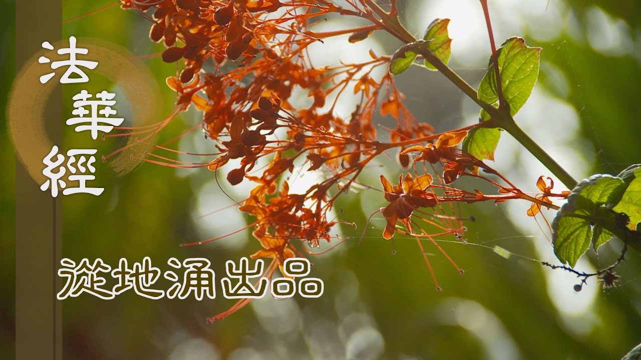 【靜思妙蓮華】法華經從地涌出品 - 調伏三業 制諸惡行 - 20230825 第1488集