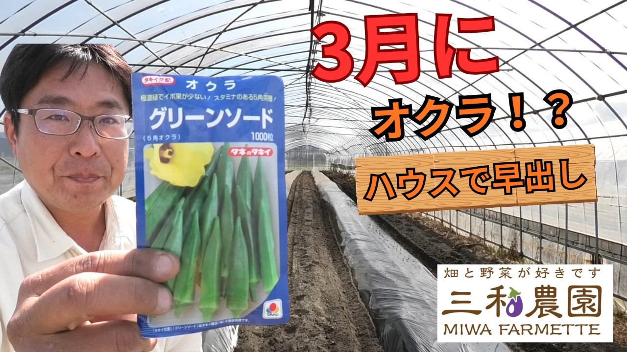 3月にオクラ！？ハウスで早出し栽培に挑戦！（2026.3.19）