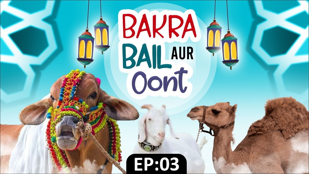 Bakra, Bail Aur Oont Ep 3 | Bakra Eid 2022 |  Bakra Eid Special Video 2022 | Bakra Eid Series