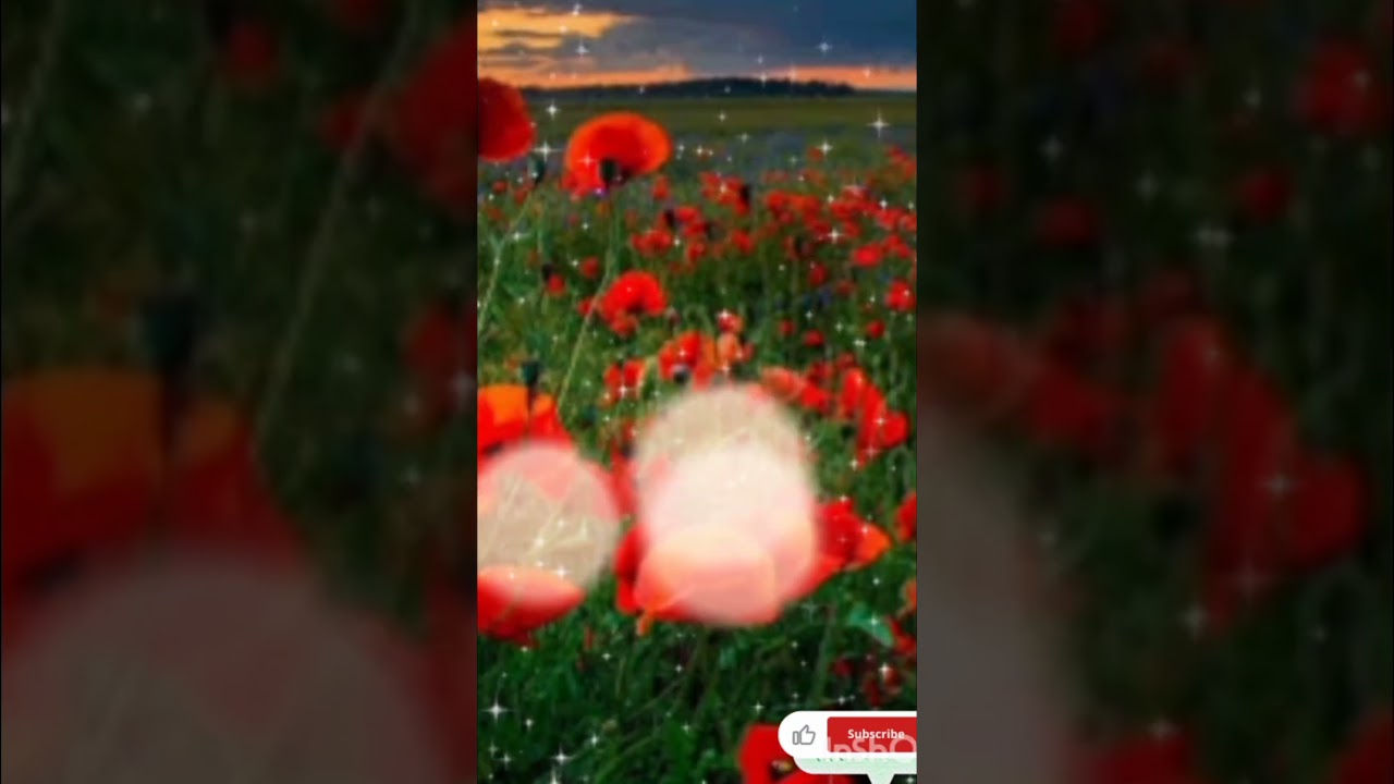 Jara Pas tu a mere 🥀❤️ - love song -whatsapp status 