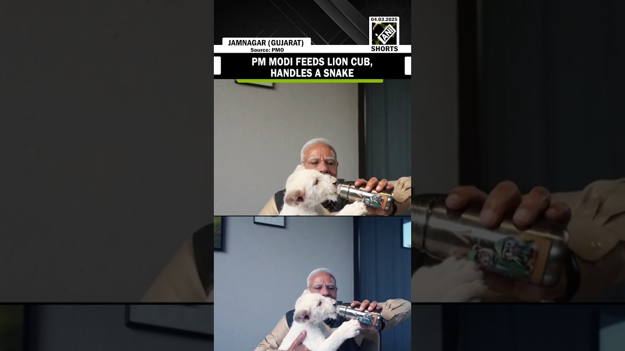 PM Modi seen feeding lion cub, handling snake