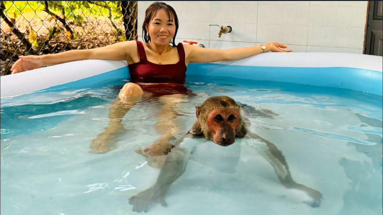 ABU invite Mom swim with because no want swim alone