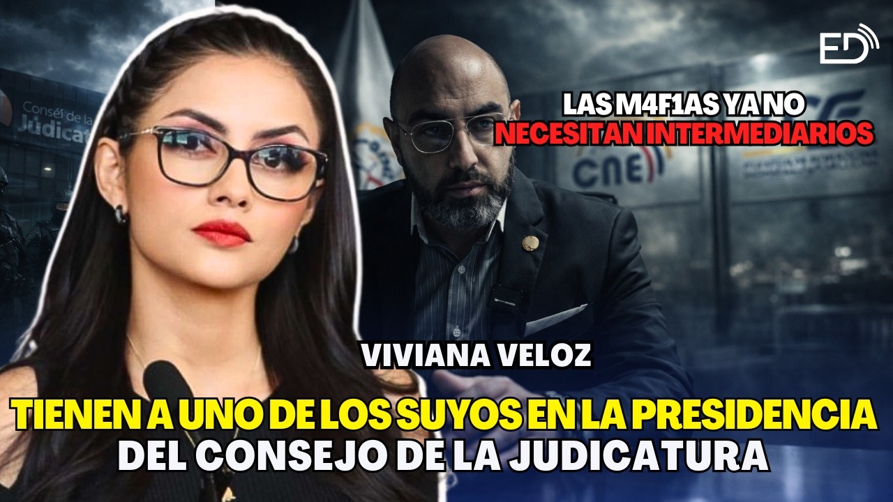El CNE y el TCE se han convertido en comisarías políticas del Gobierno | Viviana Veloz.