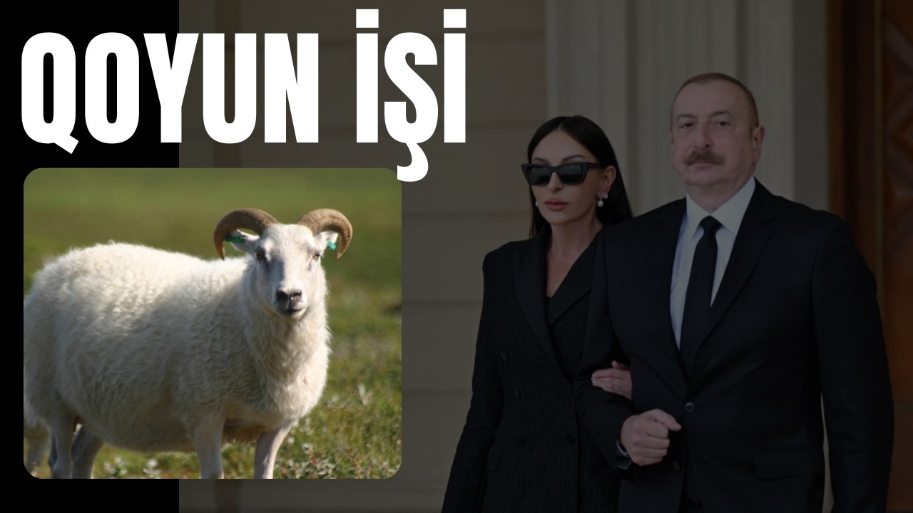 Yalnız milləti qoyun yerinə qoyub belə qoyunçuluq fırıldaqları düzəldə bilərdilər! Əsrin qoyun işi!
