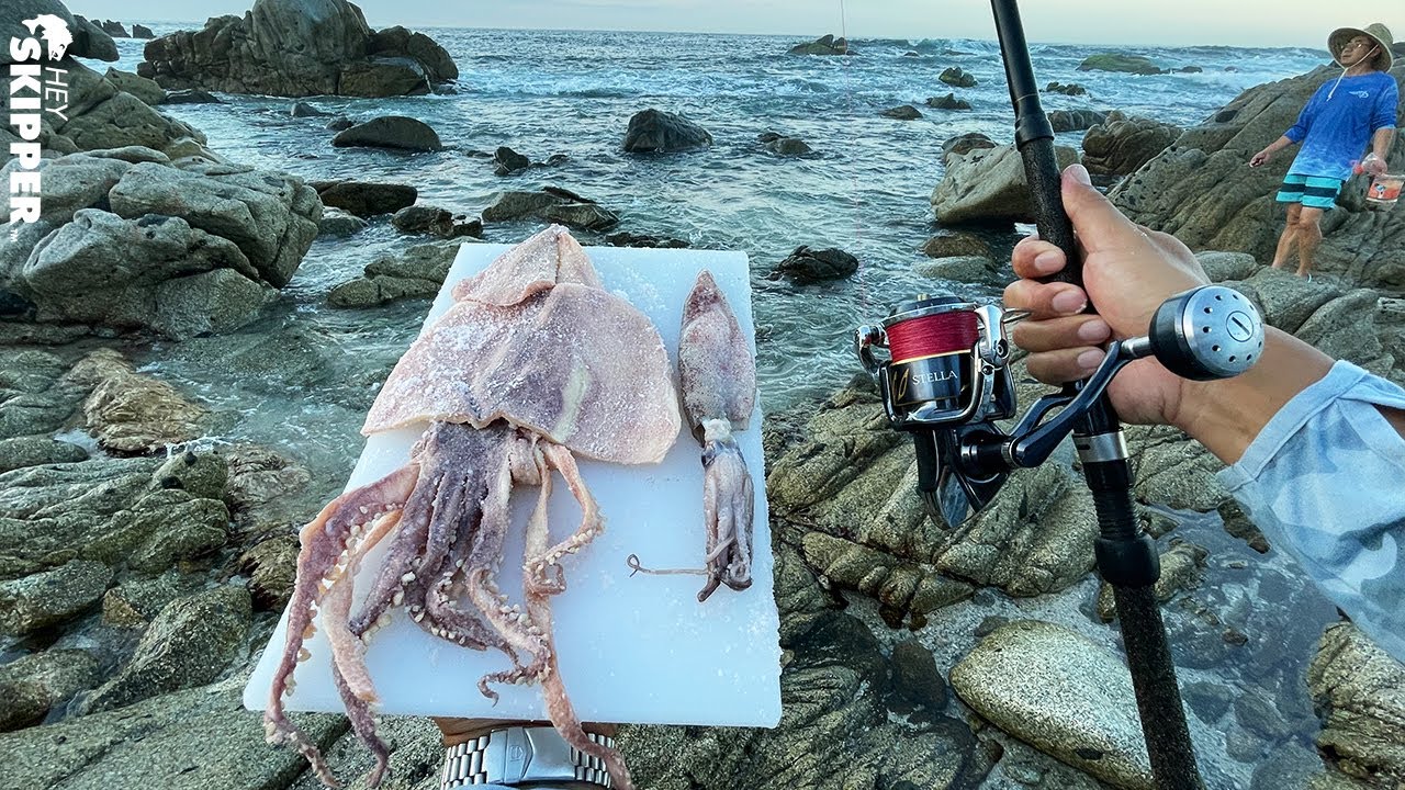 How to Use Squid for Bait--- NONSTOP FISHING ACTION!