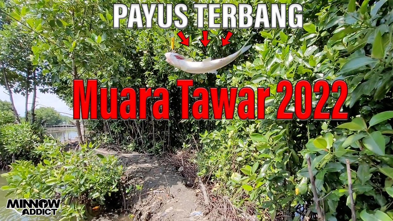 Info Spot Mancing - Spot Casting Bekasi - Muara Tawar - strike Payus Gaes - spot muara tawar 2022