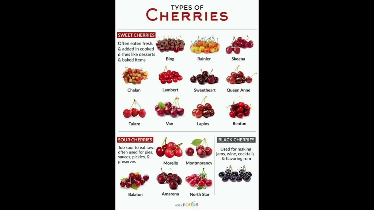 All Types of Cherries | Smiling Cherry 🍒 |