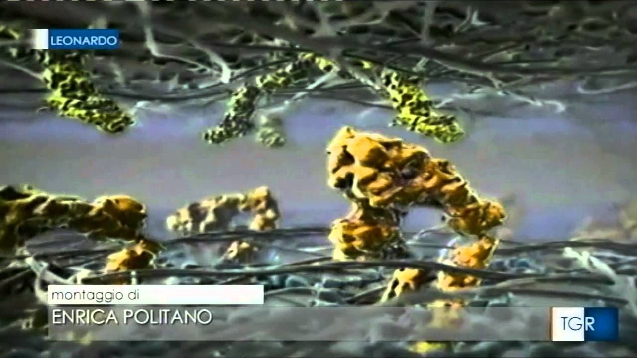 La Magia Della Lipidomica - TGR Leonardo  RAI3