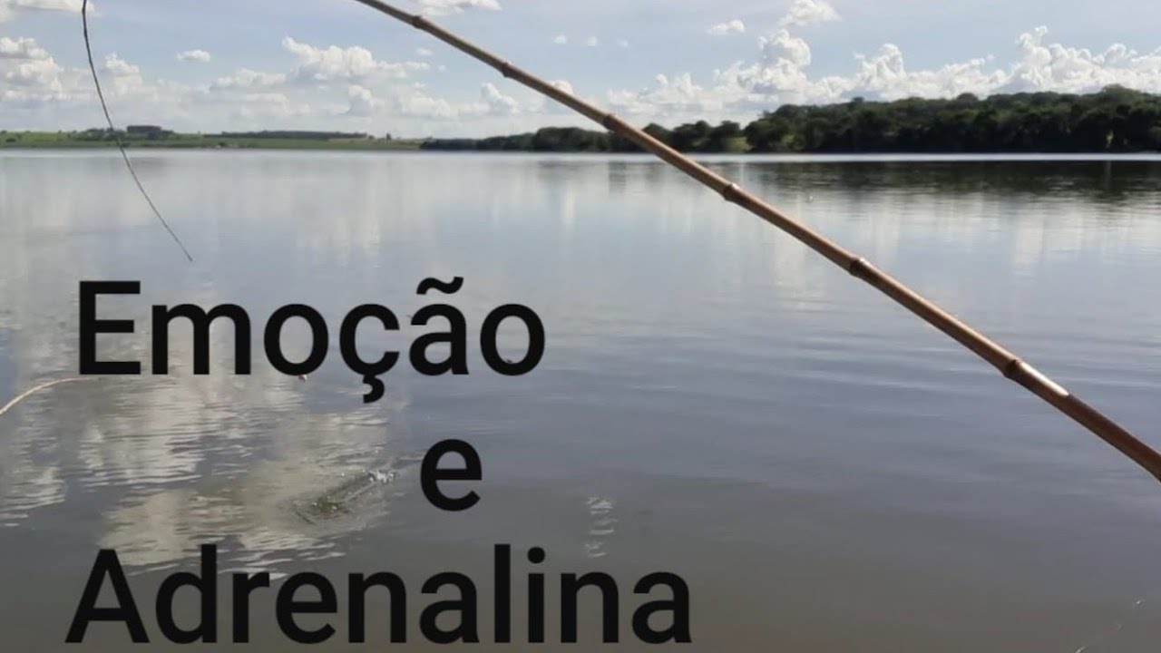 Hoje a pescaria foi de arrepiar,o bruto já veio quebrando td....