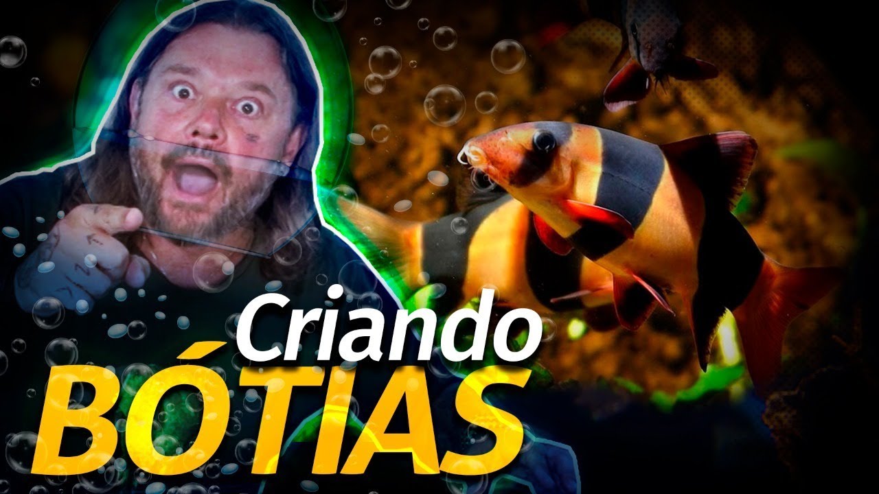 BÓTIAS, OS PALHAÇOS ASIÁTICOS! | RICHARD RASMUSSEN