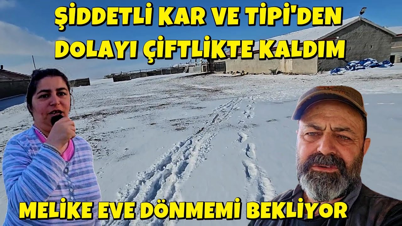 ŞİDDETLİ KAR VE TİPİ'DEN DOLAYI ÇİFTLİKTE KALDIM, MELİKE EVE DÖNMEMİ BEKLİYOR