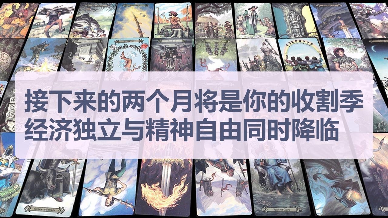 Tarot✨接下来的两个月将是你的收割季，你会发现经济独立与精神自由同时降临