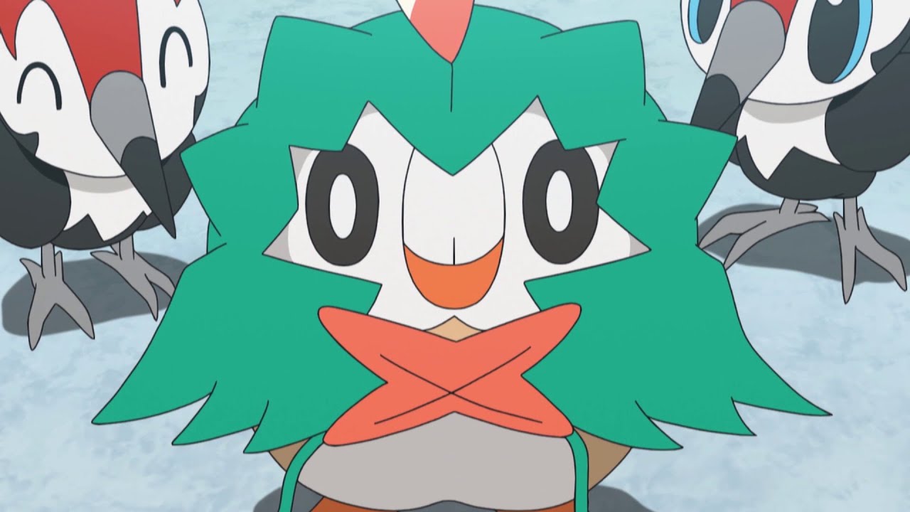 Rowlet in Training | Pok&eacute;mon the Series: Sun & Moon&mdash;Ultra Legends | Official Clip