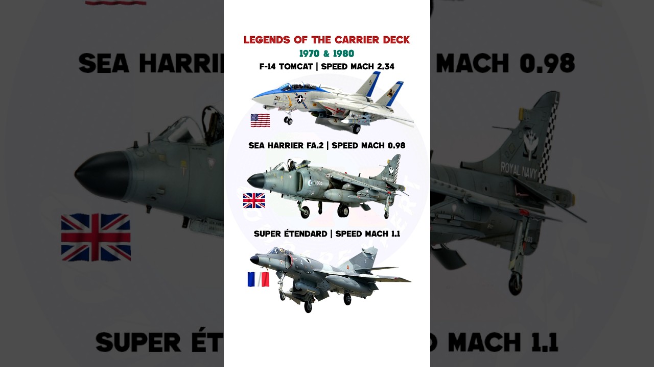CARRIER FIGHTERS OF THE COLD war ! F-14 TOMCAT vs SEA HARRIER vs SUPER &Eacute;TENDARD🔥 #fighterjet