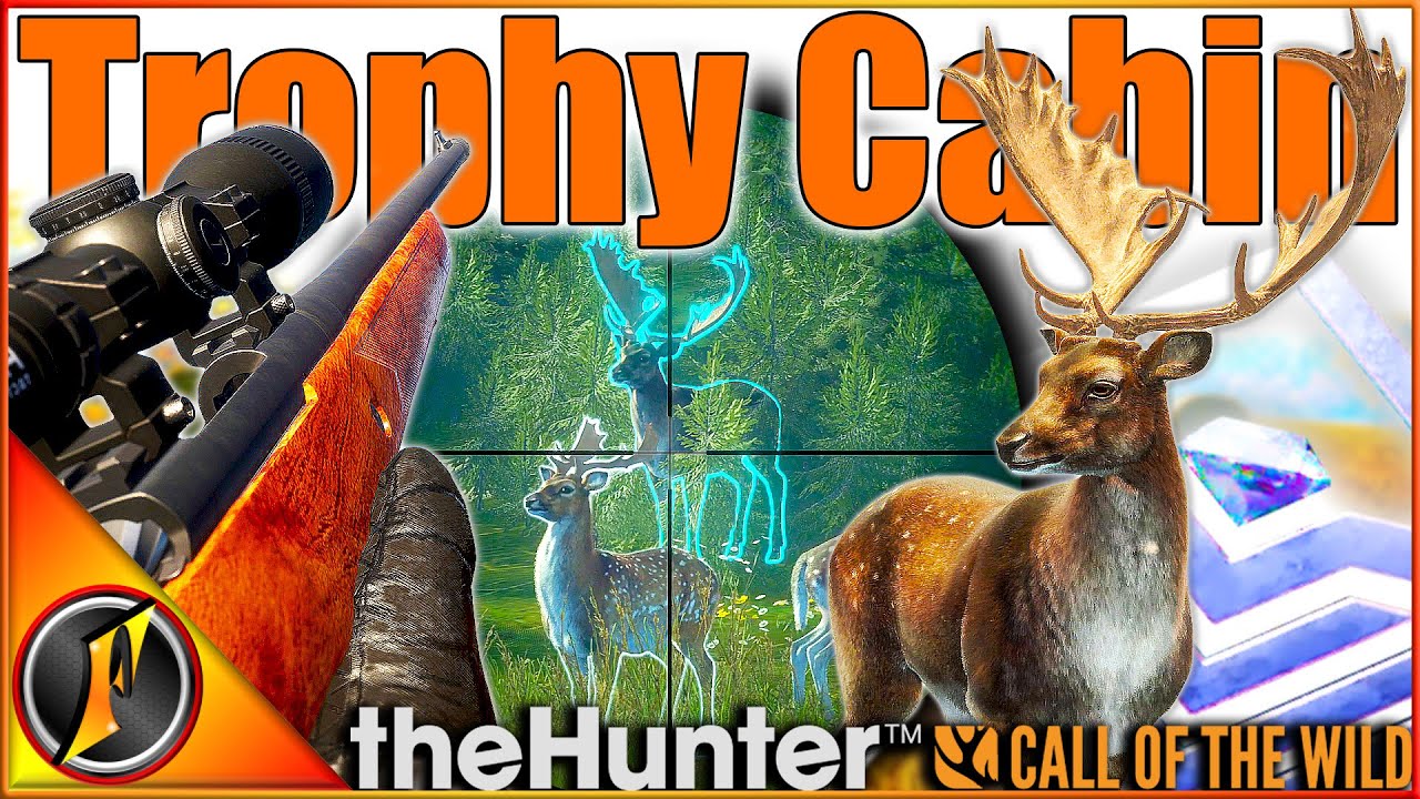 Hirschfelden DIAMOND Fallow for the Layton Trophy Cabin! | Call of the Wild