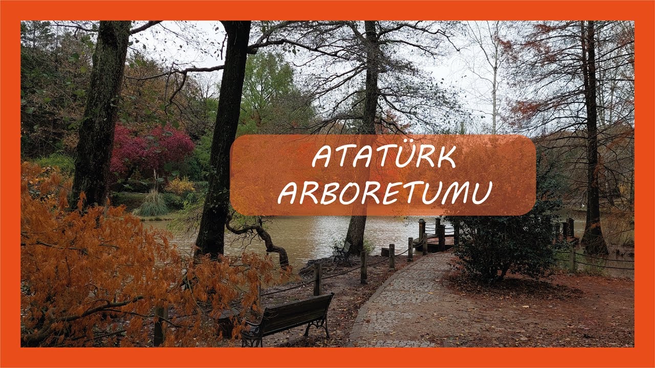 ATATÜRK ARBORETUMU / Nasıl gidilir? / Ormanda Yürüyüş