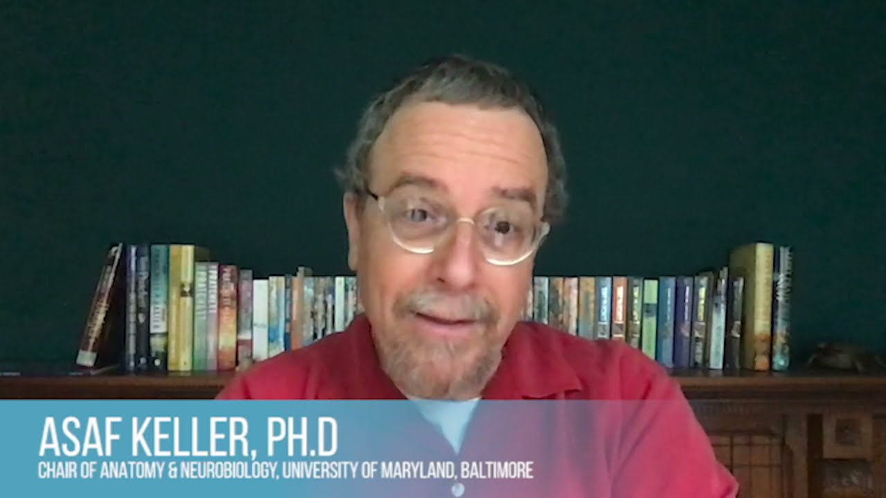 Professor of Neurobiology Discusses Waldorf Education