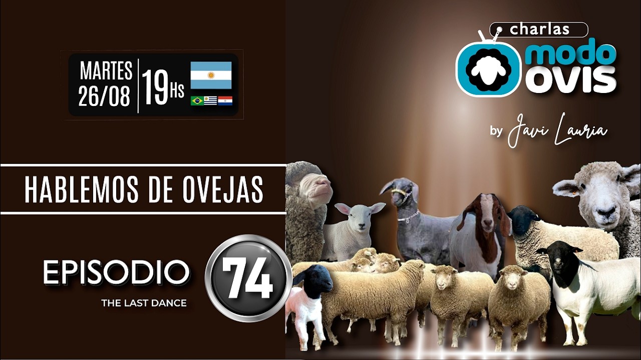 Hablemos de Ovejas! Episodio #74 - 26-8-25