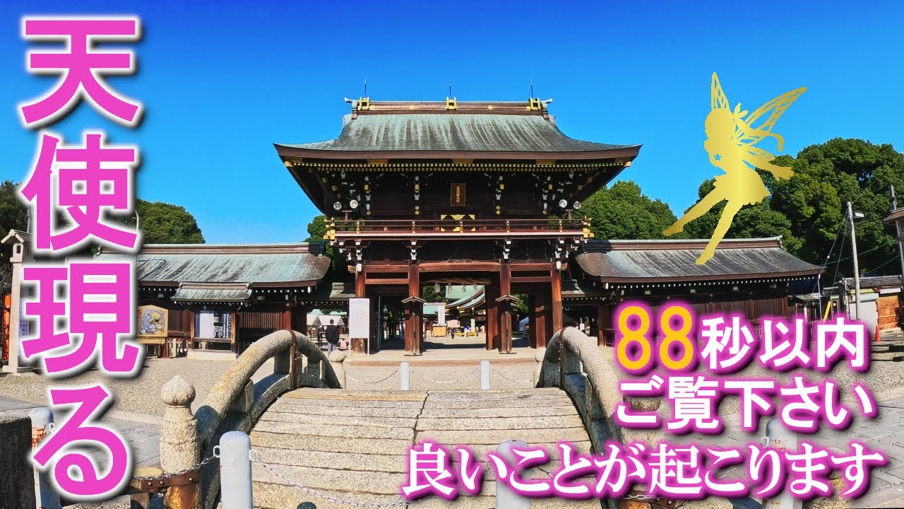 ⚠️天使の姿を見られたら超強運です。次々と良い事が起こり始めます。もし逃したら二度とありません｜愛知・真清田神社遠隔参拝355