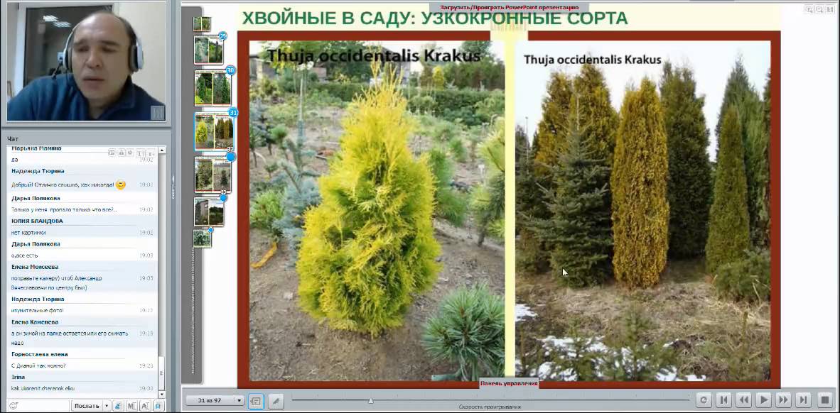 Вебинар Александра Верещака 