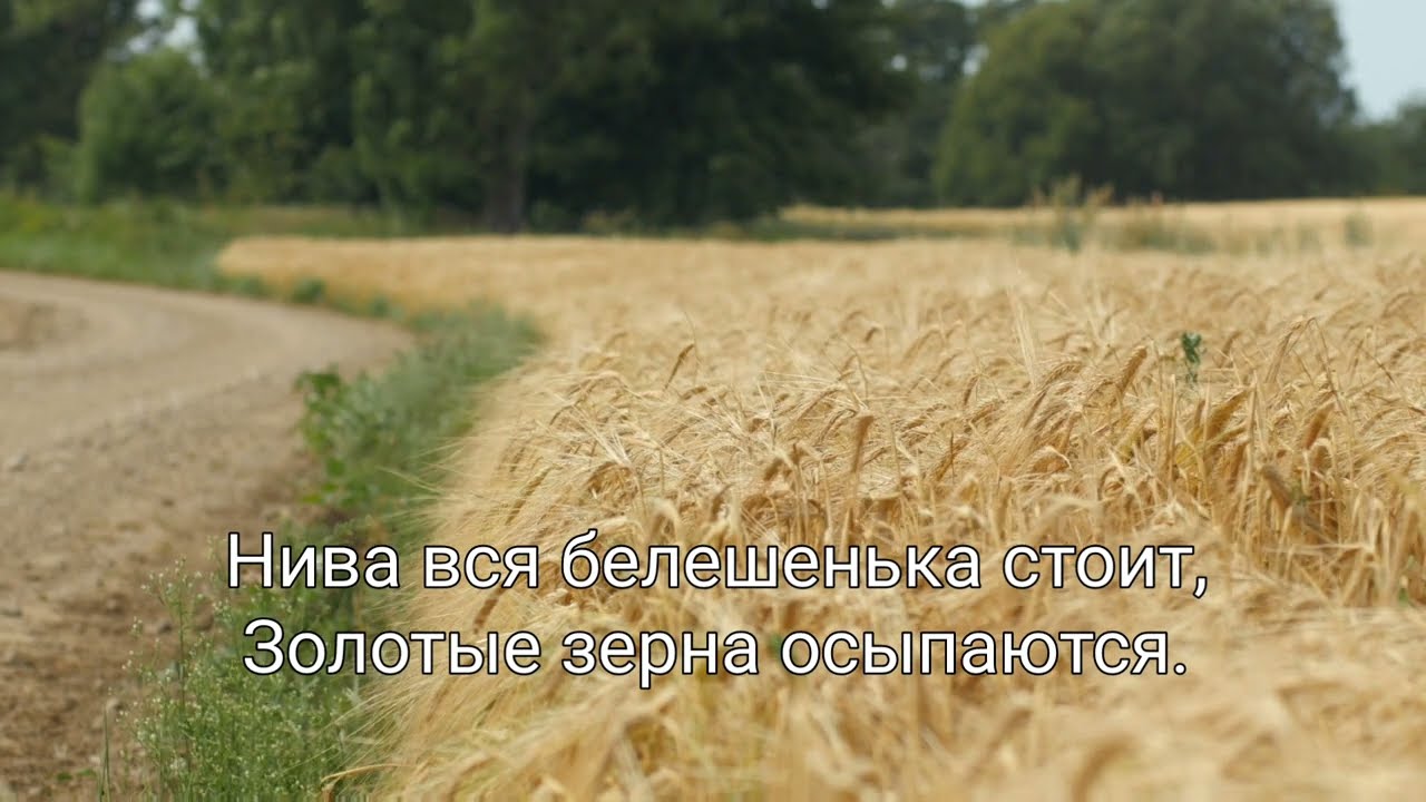 Нива вся белешенька стоит | Трио Мулык