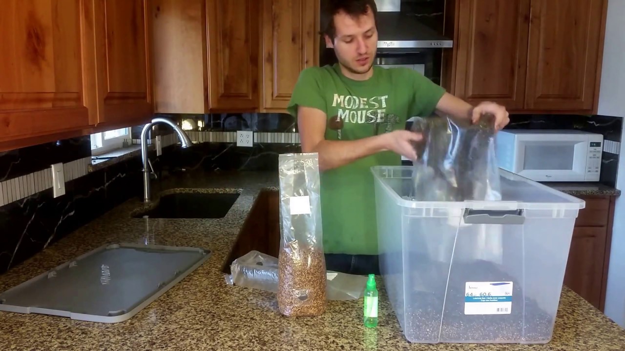 Easiest & Most Foolproof Way To Grow Mushrooms