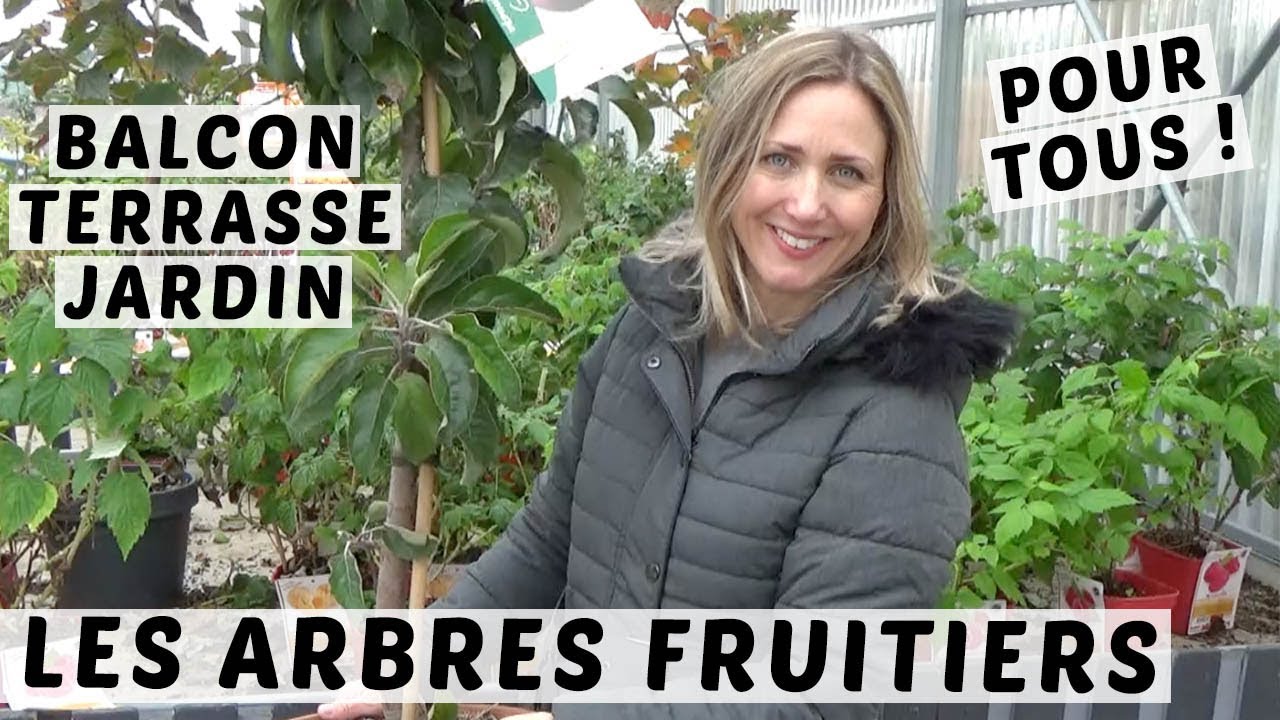 🍎 DU BALCON AU JARDIN : DES ARBRES FRUITIERS POUR TOUS AVEC LES PEPINIÈRES POULLAIN