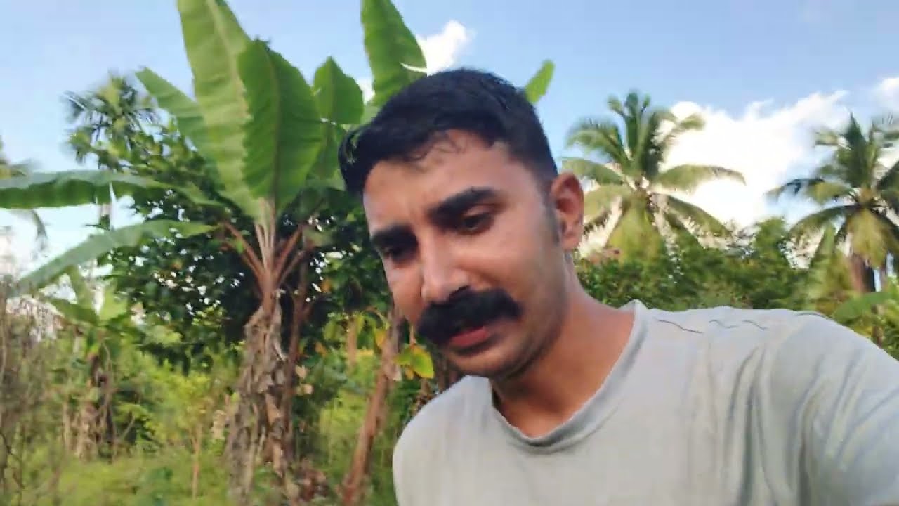 My Village Life Day 2 GREAT NICOBAR ISLAND #campbellbay  | Andaman_&_Nicobar_Islands 