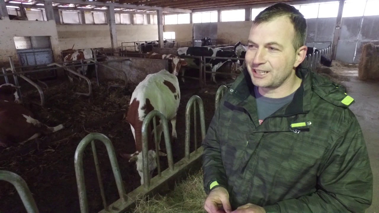 Naša priča ep. 179 25.01.2019. - Farma krava i proizvodnja mleka, Zdravčići, Požega