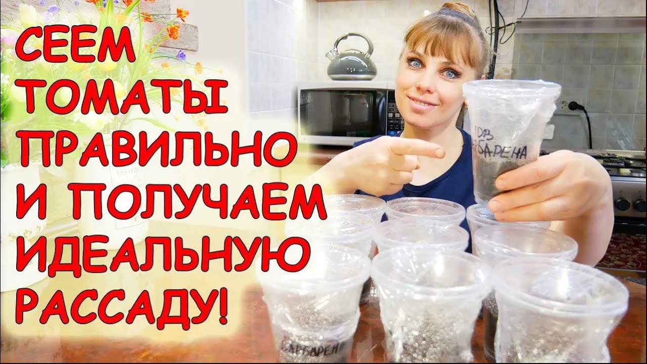 🍅 Томаты растут В 2 РАЗА быстрее! 🚀 Главные правила посева, о которых молчат!